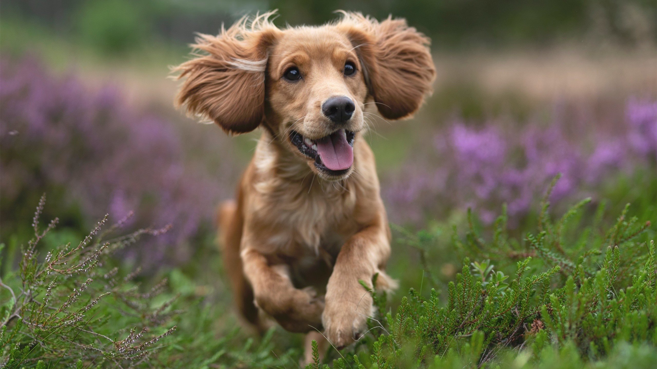 巴萨慈善赛对阵伊拉克，客串10号莫德里奇赛后评分拉满，一场跨越战争与足球的梦幻聚会