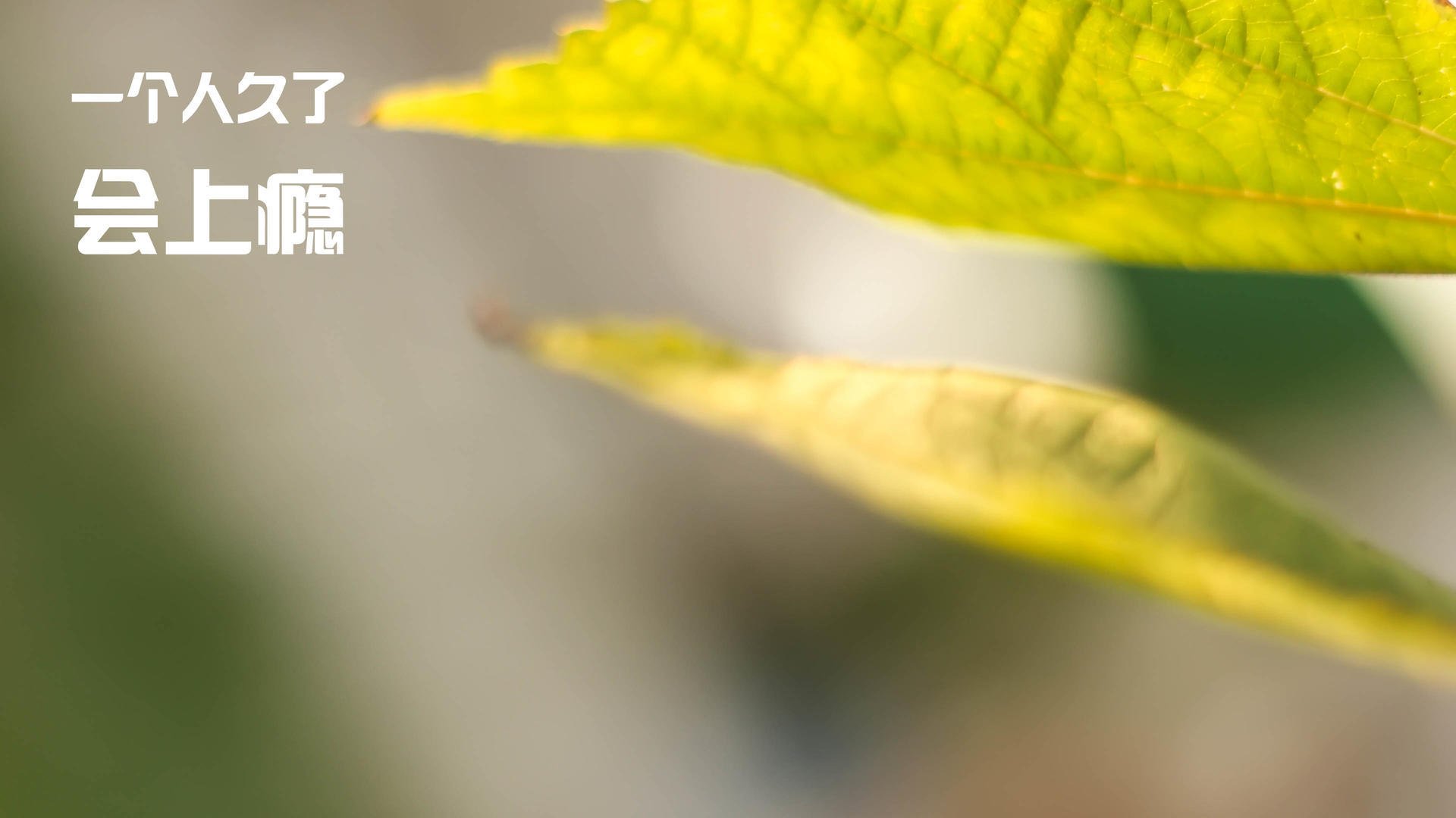 意甲焦点战，突尼斯铁闸闪耀欧战，雷恩攻势遭无情压制