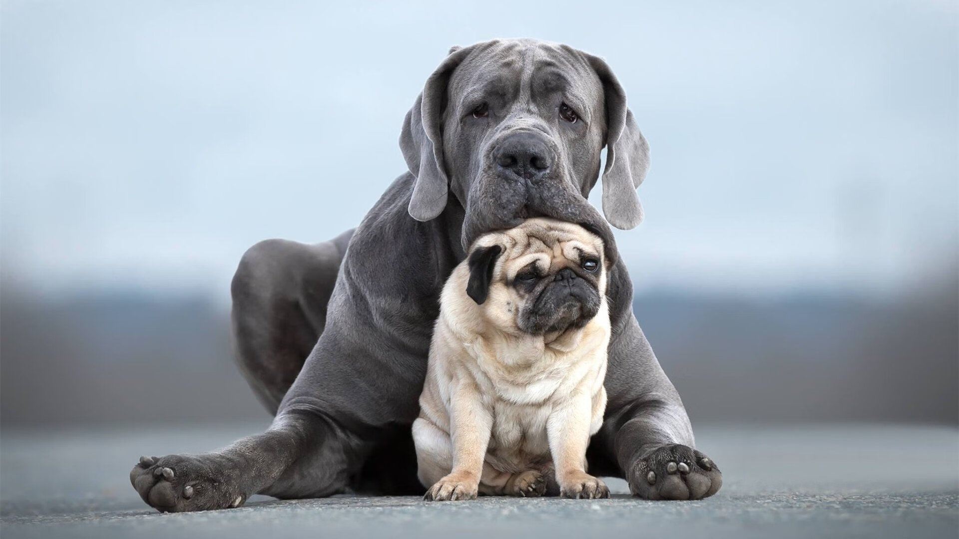 开云体育入口-唯大场面先生，刀下不留情，格纳布里的欧冠淘汰赛之夜