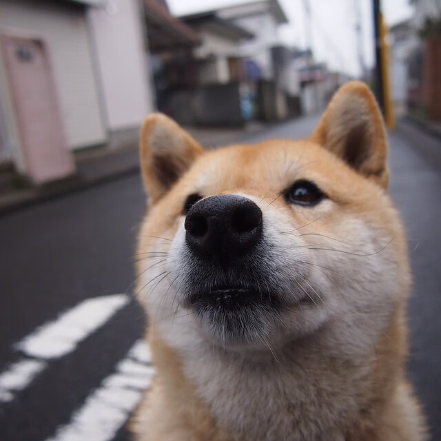 开云体育2026-力压同省宿敌！浙江德比杀出真龙王，库昊一剑封喉诠释何为关键先生