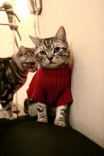 欧战烽火,苏亚雷斯独舞拉开差距,拉齐奥铁腕强压波兰劲旅