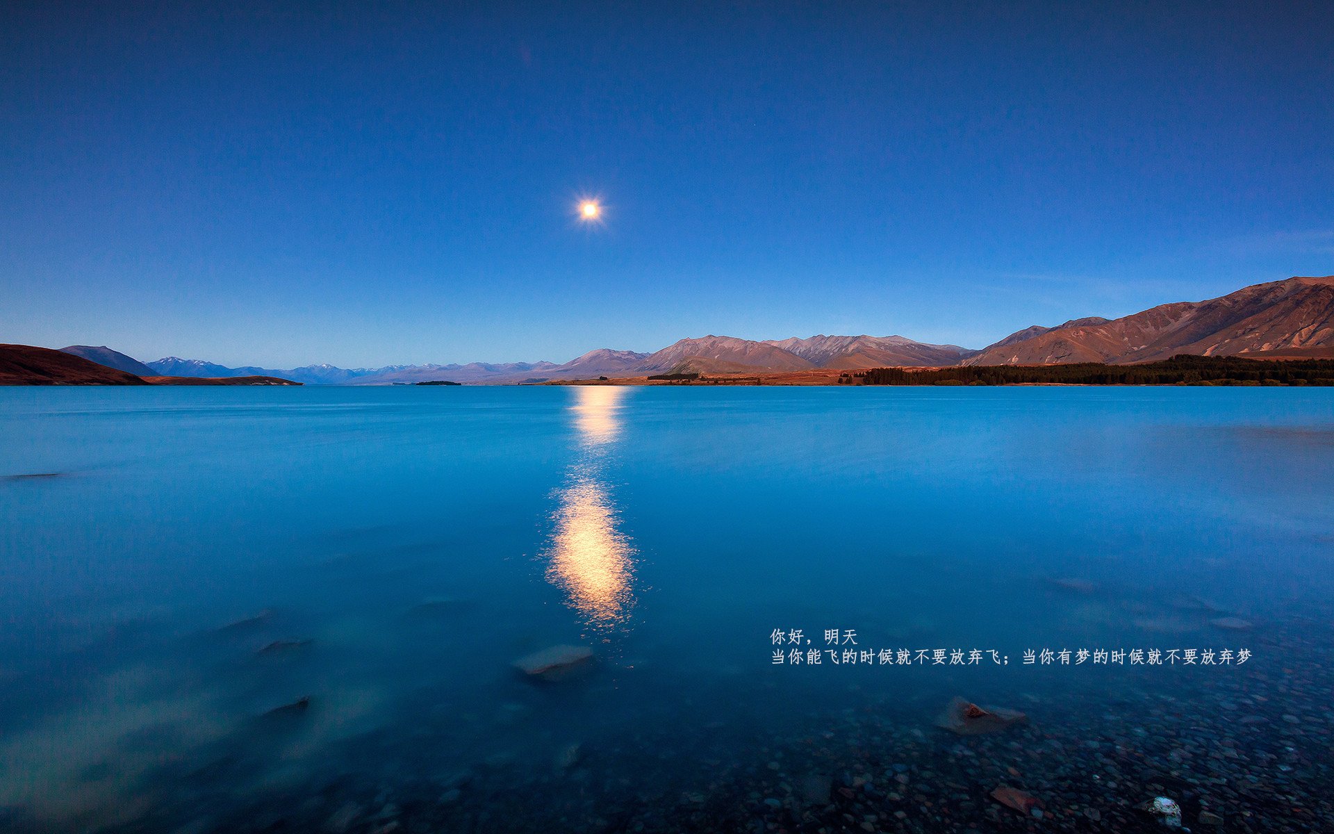 哈兰德爆发助挪威大捷，威尔士防守锁死荷兰—欧洲足坛的双重震撼