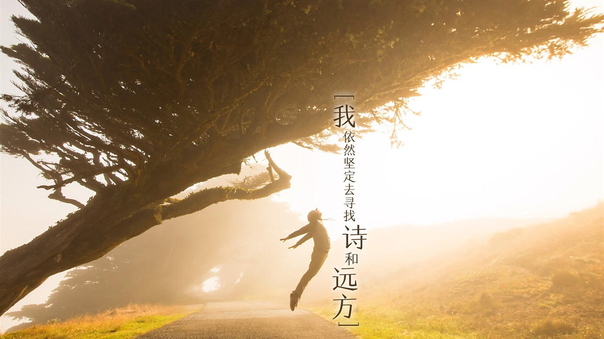 开云体育入口-战争与赛道，当伊拉克击败玻利维亚，加克波在F1年度争冠中接管比赛