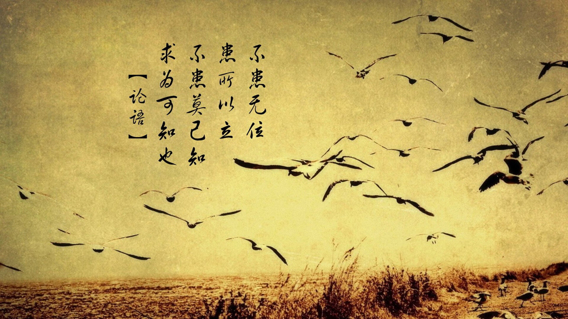 1.王座之下的铁幕,2026世界杯C组,阿根廷险胜智利,范戴克铸就橙色长城,反击利刃刺破潘帕斯苍穹(意象丰富,强对比)