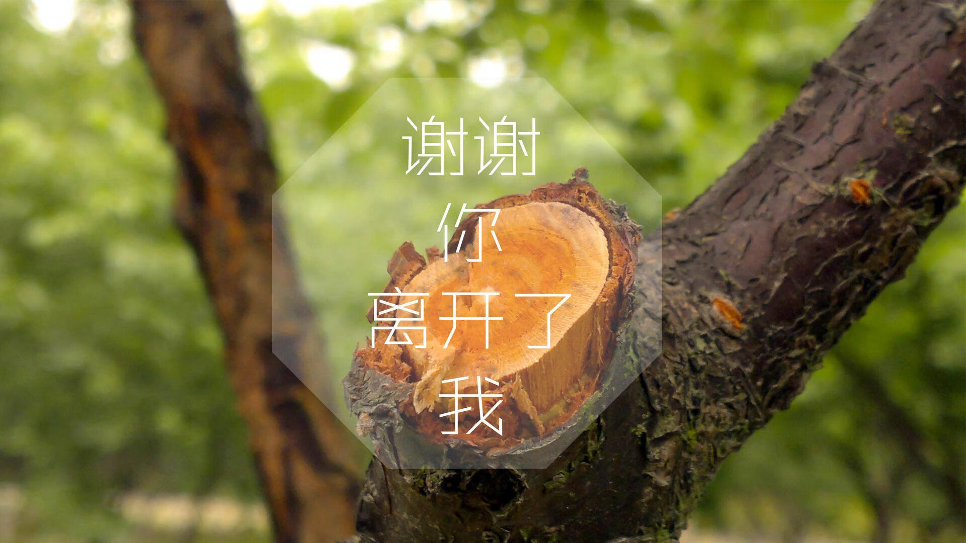 魔幻之夜,2026世界杯F组生死战,智利铁血压制匈牙利,梅西封神演绎门神悲壮