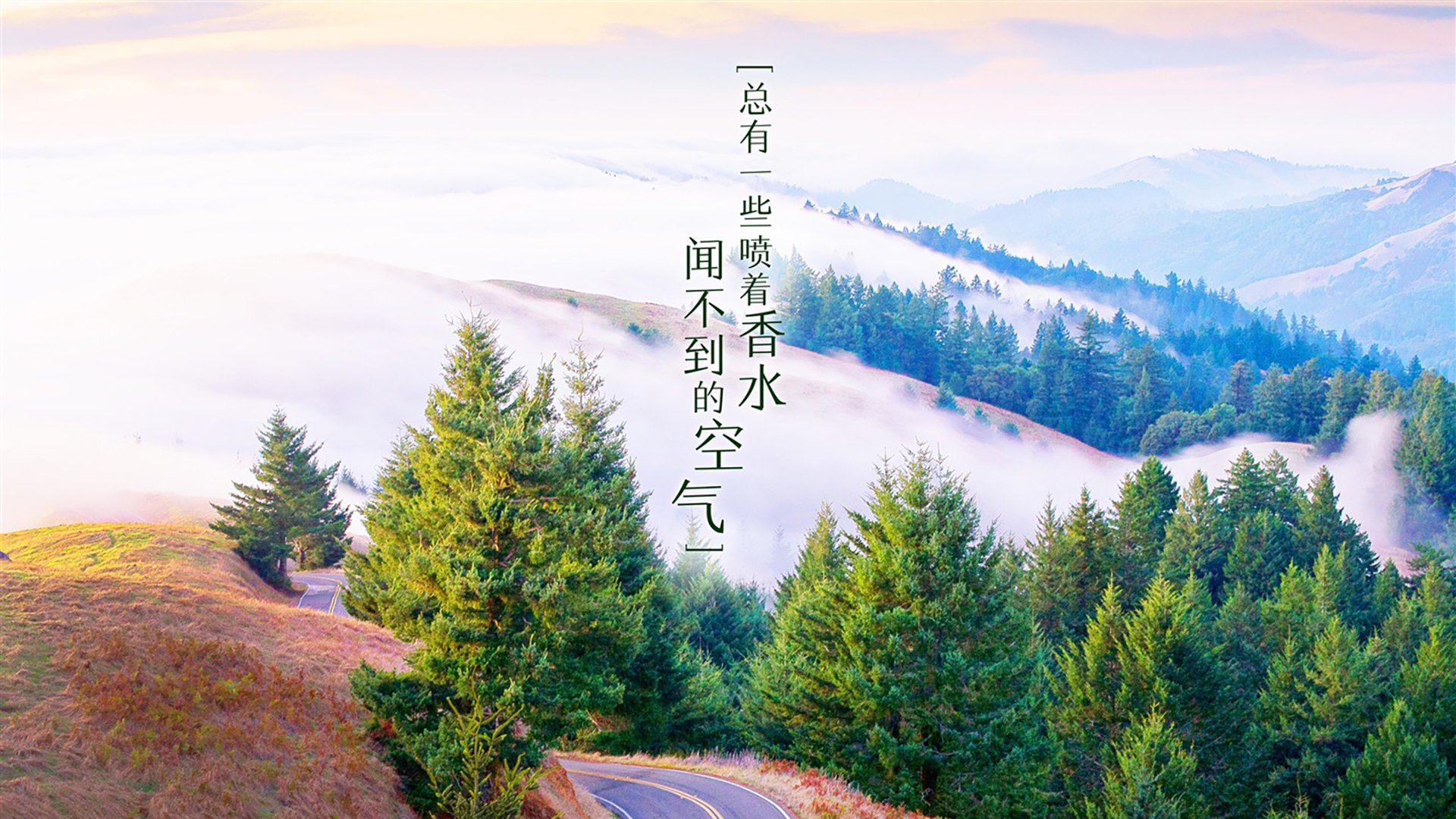 沙漠风暴席卷绿茵,当魔笛为乌拉圭奏响挽歌—2026世界杯F组,伊拉克奇袭与莫德里奇的另一种伟大